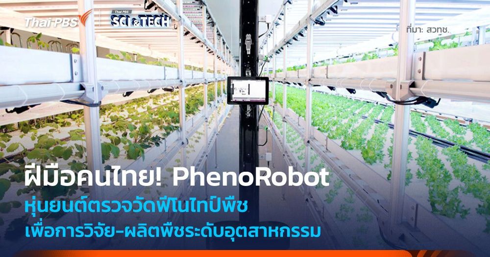 คนไทยพัฒนา! PhenoRobot หุ่นยนต์ตรวจวัดฟีโนไทป์พืช เพื่อผลิตพืชระดับอุตสาหกรรม