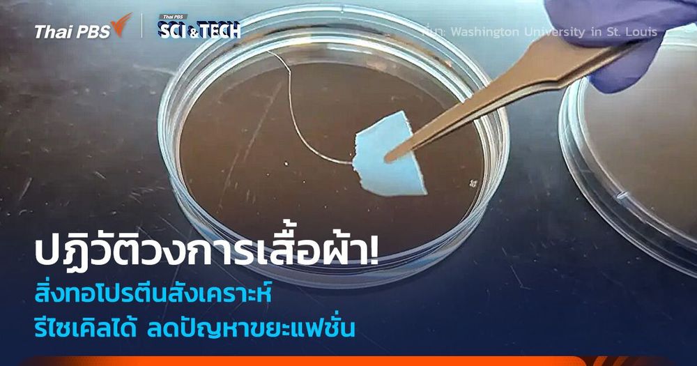 ปฏิวัติวงการเสื้อผ้า! สิ่งทอโปรตีนสังเคราะห์ รีไซเคิลได้ 100% ลดปัญหาขยะแฟชั่น