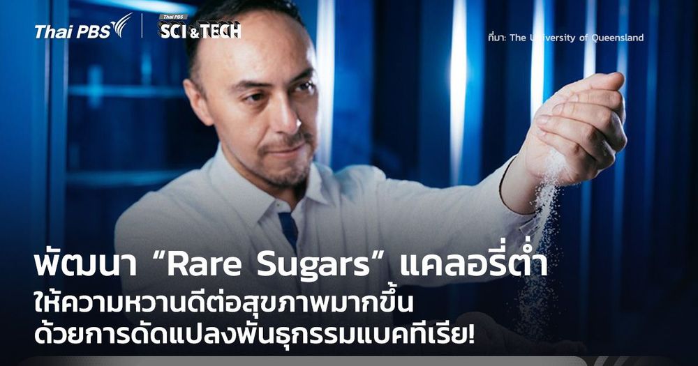 พัฒนา “Rare Sugars” แคลอรี่ต่ำ ให้ความหวานดีต่อสุขภาพมากขึ้น