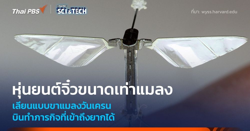หุ่นยนต์จิ๋วขนาดเท่าแมลง เลียนแบบขาแมลงวันเครน บินลงจอดในพื้นที่เข้าถึงยากได้