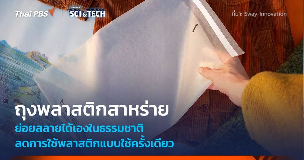 ลบภาพจำ! ถุงพลาสติกสาหร่าย ย่อยสลายได้เอง ลดการใช้พลาสติกแบบใช้ครั้งเดียว