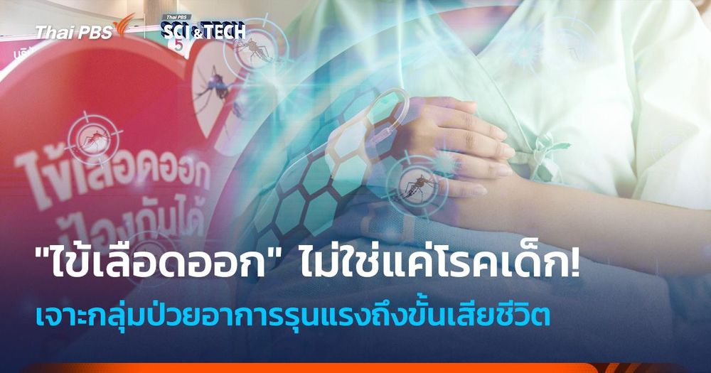 "ไข้เลือดออก" ไม่ใช่แค่โรคเด็ก! เจาะกลุ่มป่วยอาการรุนแรง เสี่ยงเสียชีวิต