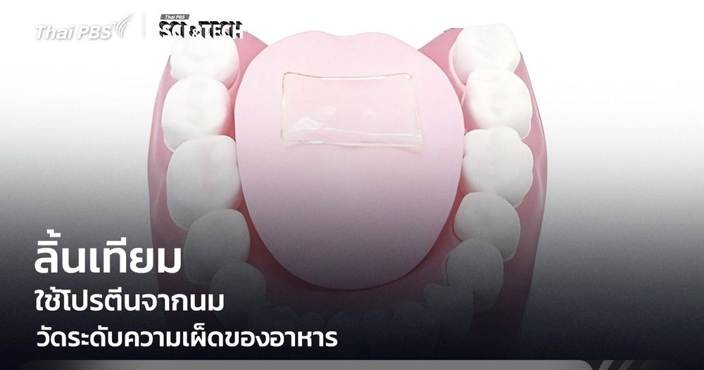 เผ็ดแค่ไหนรู้ได้ทันที! "ลิ้นเทียมจากโปรตีนนม" วัดระดับความเผ็ด ช่วยคุมรสชาติอาหาร
