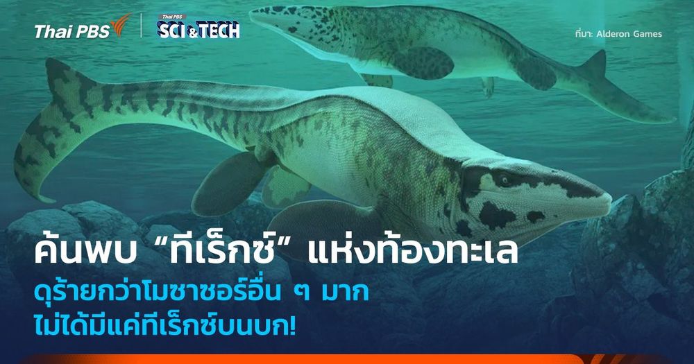ไม่ได้มีแค่ทีเร็กซ์บนบก! ค้นพบ “ทีเร็กซ์” แห่งท้องทะเล ดุร้ายกว่าโมซาซอร์ตัวอื่น ๆ มาก