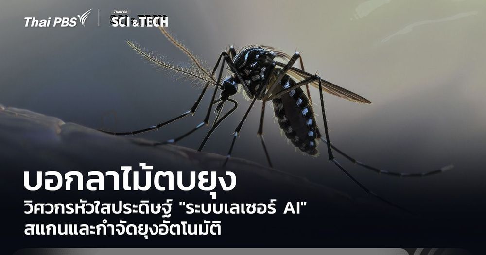บอกลาไม้ตบยุง! วิศวกรหัวใสประดิษฐ์ "ระบบเลเซอร์ AI" สแกนและกำจัดยุงอัตโนมัติ