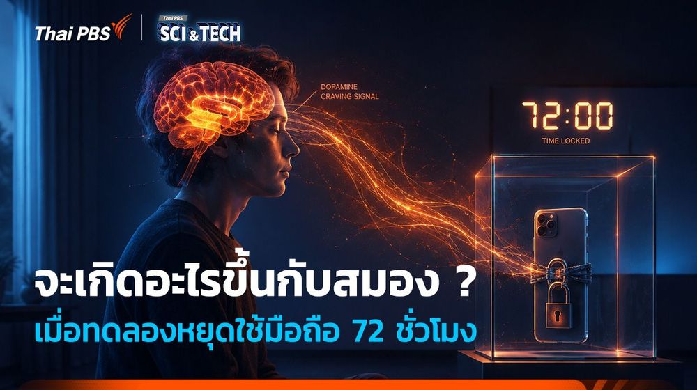 จะเกิดอะไรขึ้นกับสมอง ? เมื่อทดลองหยุดใช้มือถือ 72 ชั่วโมง