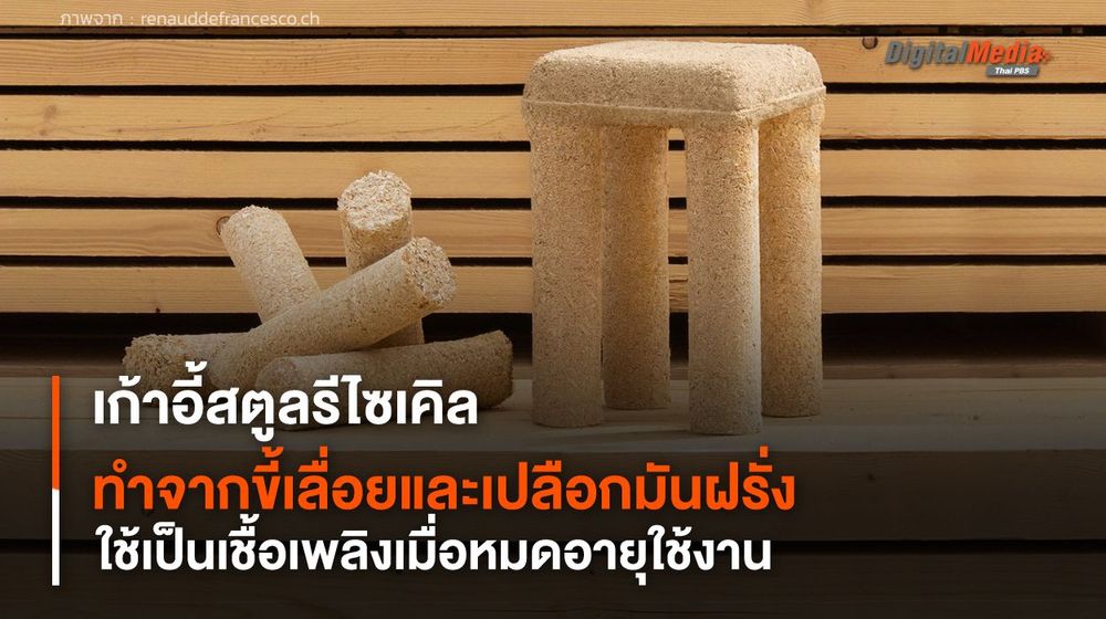 เก้าอี้สตูลรีไซเคิล ทำจากขี้เลื่อยและเปลือกมันฝรั่ง ใช้เป็นเชื้อเพลิงเมื่อหมดอายุใช้งาน