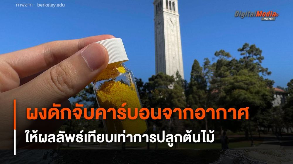 ผงดักจับคาร์บอนจากอากาศ ให้ผลลัพธ์ใกล้เคียงปลูกต้นไม้ 1 ต้น