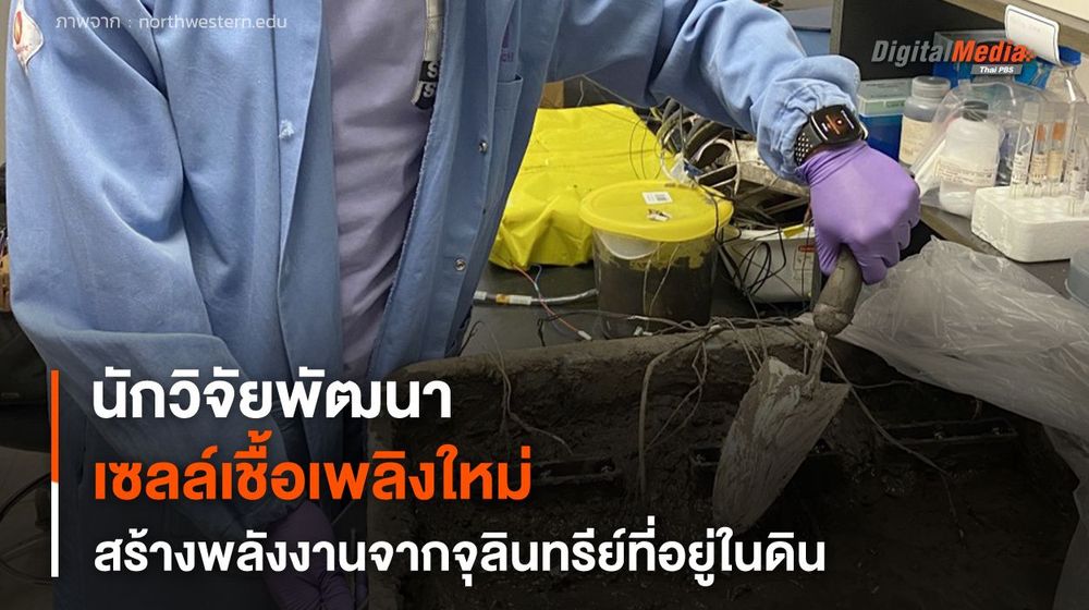 นักวิจัยพัฒนาเซลล์เชื้อเพลิงใหม่ รวบรวมพลังงานจากจุลินทรีย์ที่อยู่ในดิน