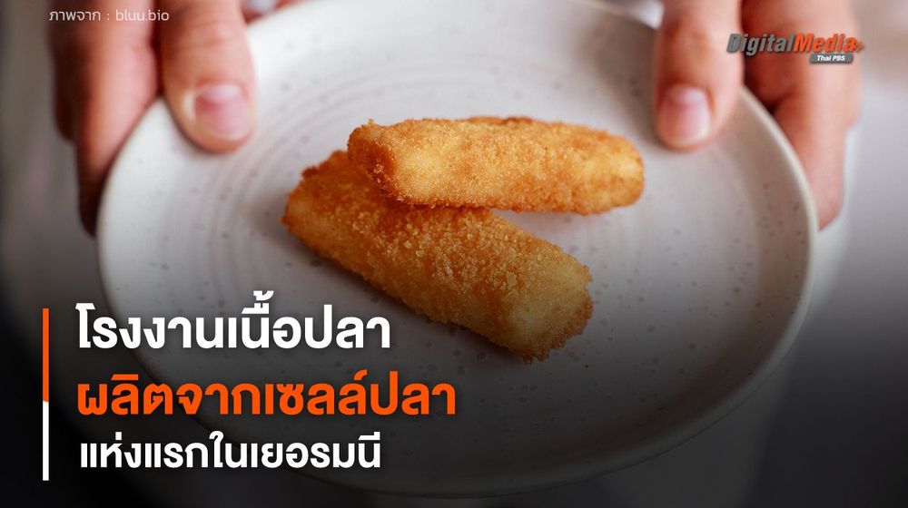 โรงงานเนื้อปลา "ผลิตจากเซลล์ปลา" แห่งแรกในเยอรมนี