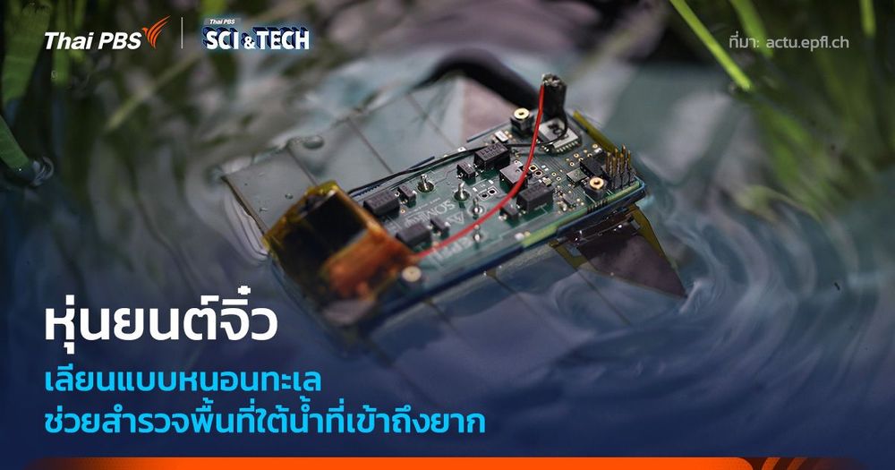 นักวิทย์พัฒนาหุ่นยนต์จิ๋ว เลียนแบบหนอนตัวแบนทะเล ช่วยสำรวจพื้นที่ใต้น้ำที่เข้าถึงยาก