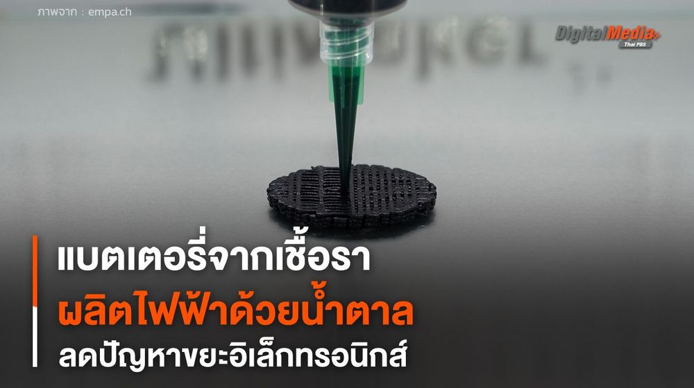 แบตเตอรี่จากเชื้อรา ผลิตไฟฟ้าด้วยน้ำตาล ลดปัญหาขยะอิเล็กทรอนิกส์