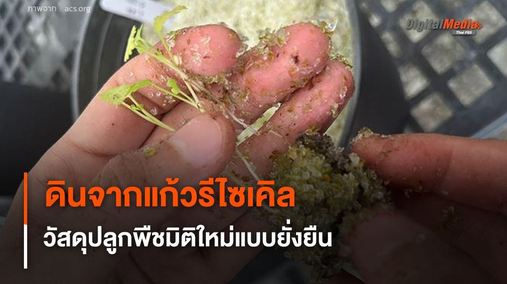 ดินจากแก้วรีไซเคิล นวัตกรรมวัสดุปลูกพืชมิติใหม่ เพื่อการเกษตรแบบยั่งยืน