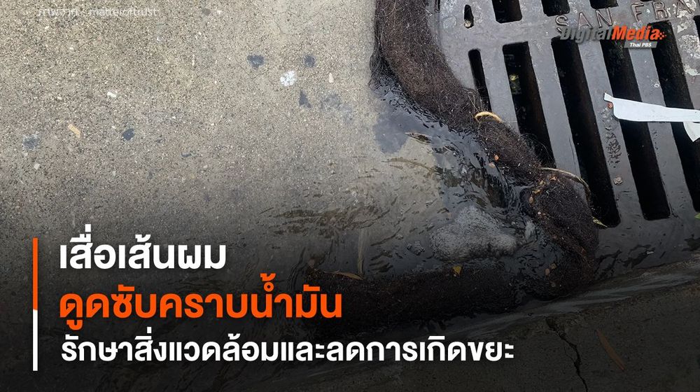 เสื่อผลิตจากเส้นผม มีคุณสมบัติช่วยดูดซับคราบน้ำมันรั่วได้ครั้งละแกลลอน