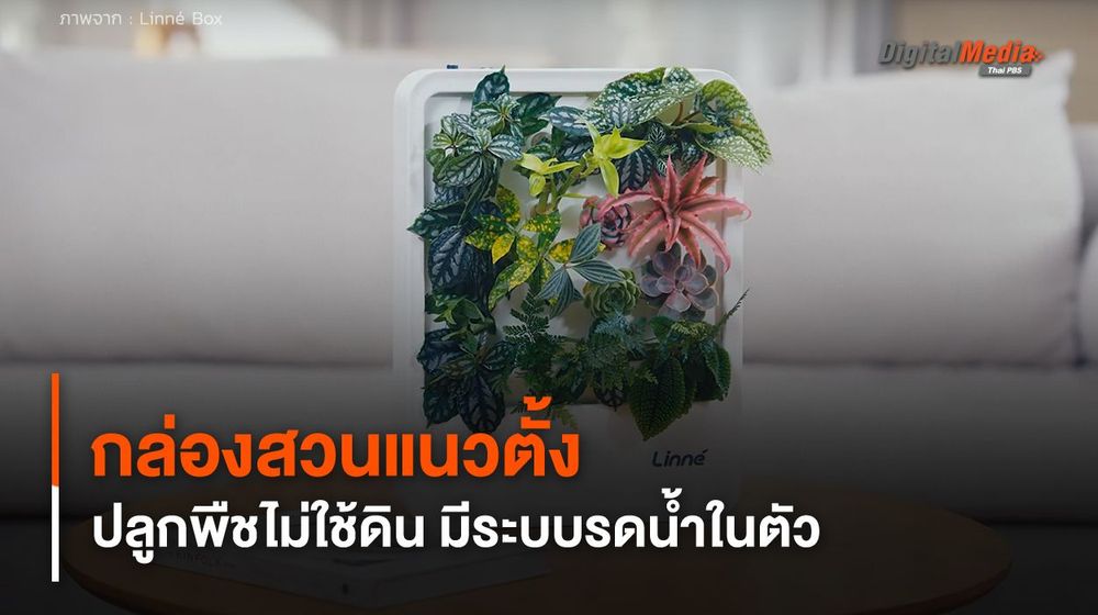 กล่องสวนแนวตั้ง มีระบบรดน้ำ สร้างพื้นที่สีเขียวได้ไม่จำกัด