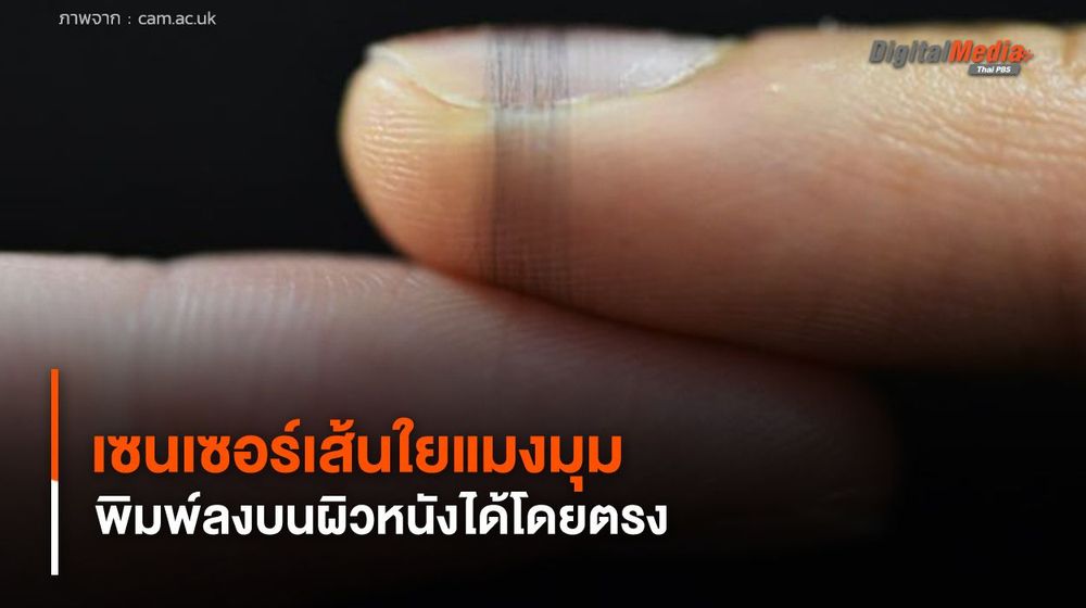 เซนเซอร์เส้นใยแมงมุม บางกว่าผมมนุษย์ 50 เท่า พิมพ์ลงบนผิวหนังได้โดยตรง