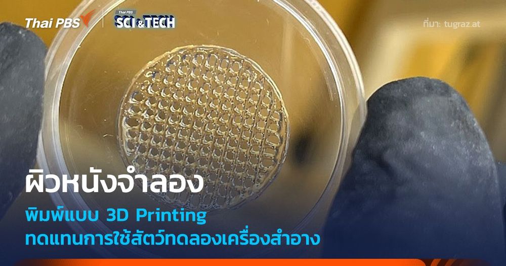 ผิวหนังจำลองพิมพ์ 3 มิติ แทนการใช้สัตว์ทดลอง ทางเลือกของอุตสาหกรรมเครื่องสำอาง
