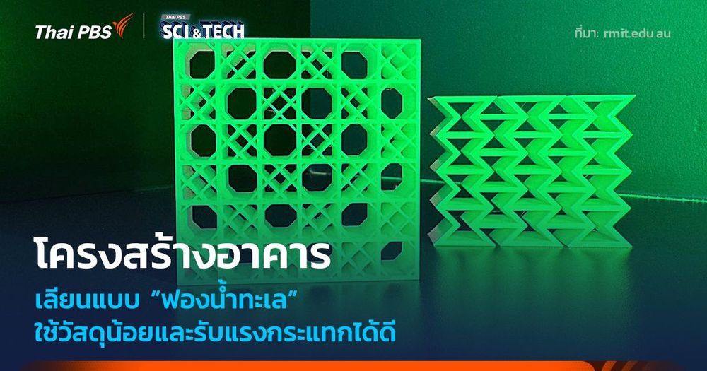 โครงสร้างตึกเลียนแบบ "ฟองน้ำทะเล" ใช้วัสดุน้อยและรับแรงกระแทกได้ดี