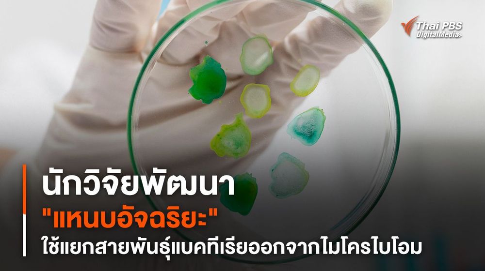 นักวิจัยพัฒนา "แหนบอัจฉริยะ" ใช้แยกสายพันธุ์แบคทีเรียออกจากไมโครไบโอม