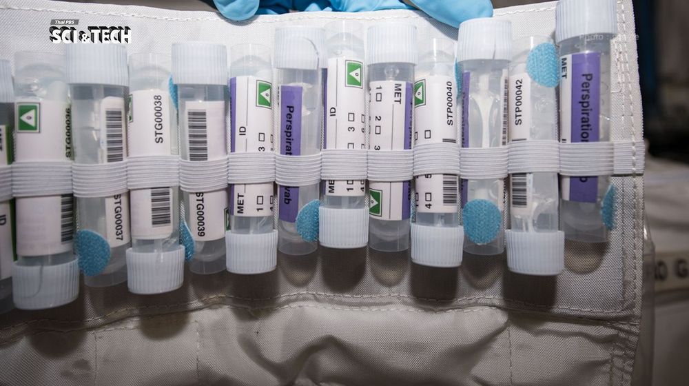 Microbiome บนยานอวกาศ เมื่อมนุษย์ไม่ได้ไปคนเดียว แต่ไปพร้อมสิ่งมีชีวิตขนาดเล็กในร่างกาย