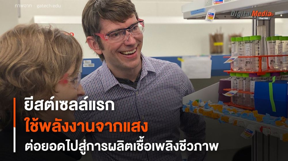 ยีสต์เซลล์แรกของโลกใช้พลังงานจากแสง ต่อยอดไปสู่การผลิตเชื้อเพลิงชีวภาพ