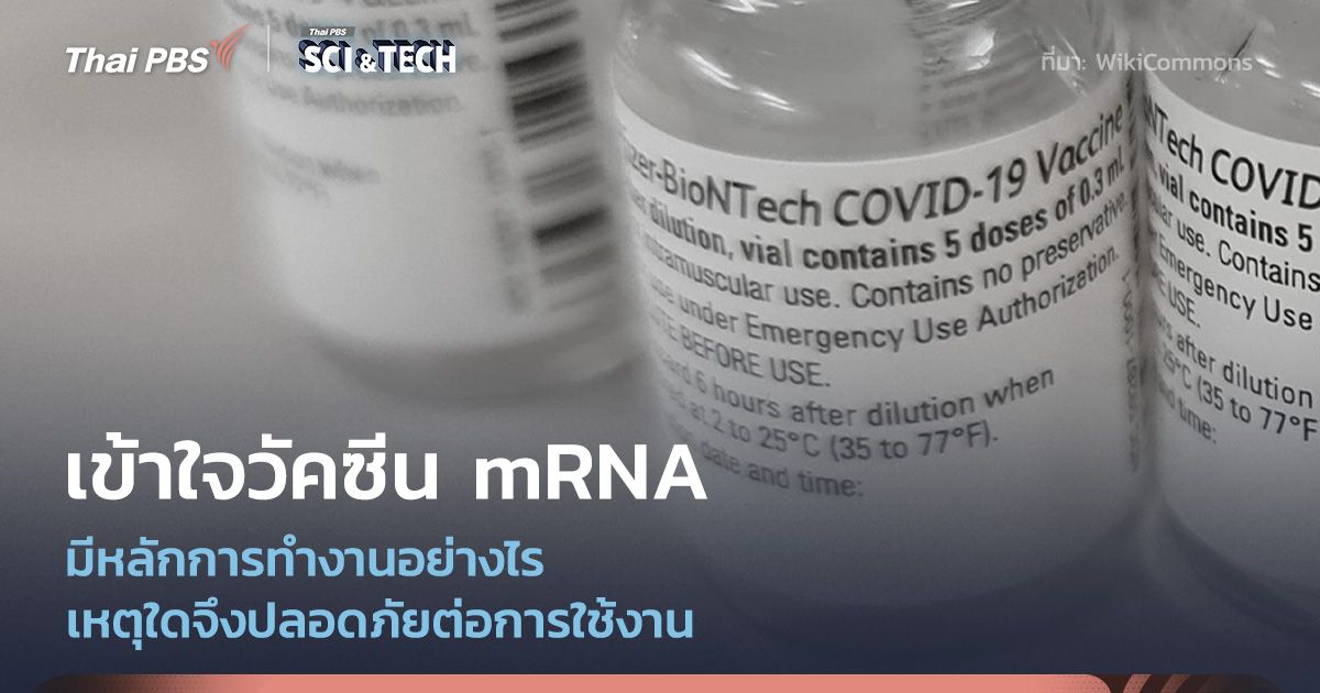 เข้าใจวัคซีน mRNA เมื่อเราใช้กลไกพื้นฐานของชีวิตสู้กับไวรัส