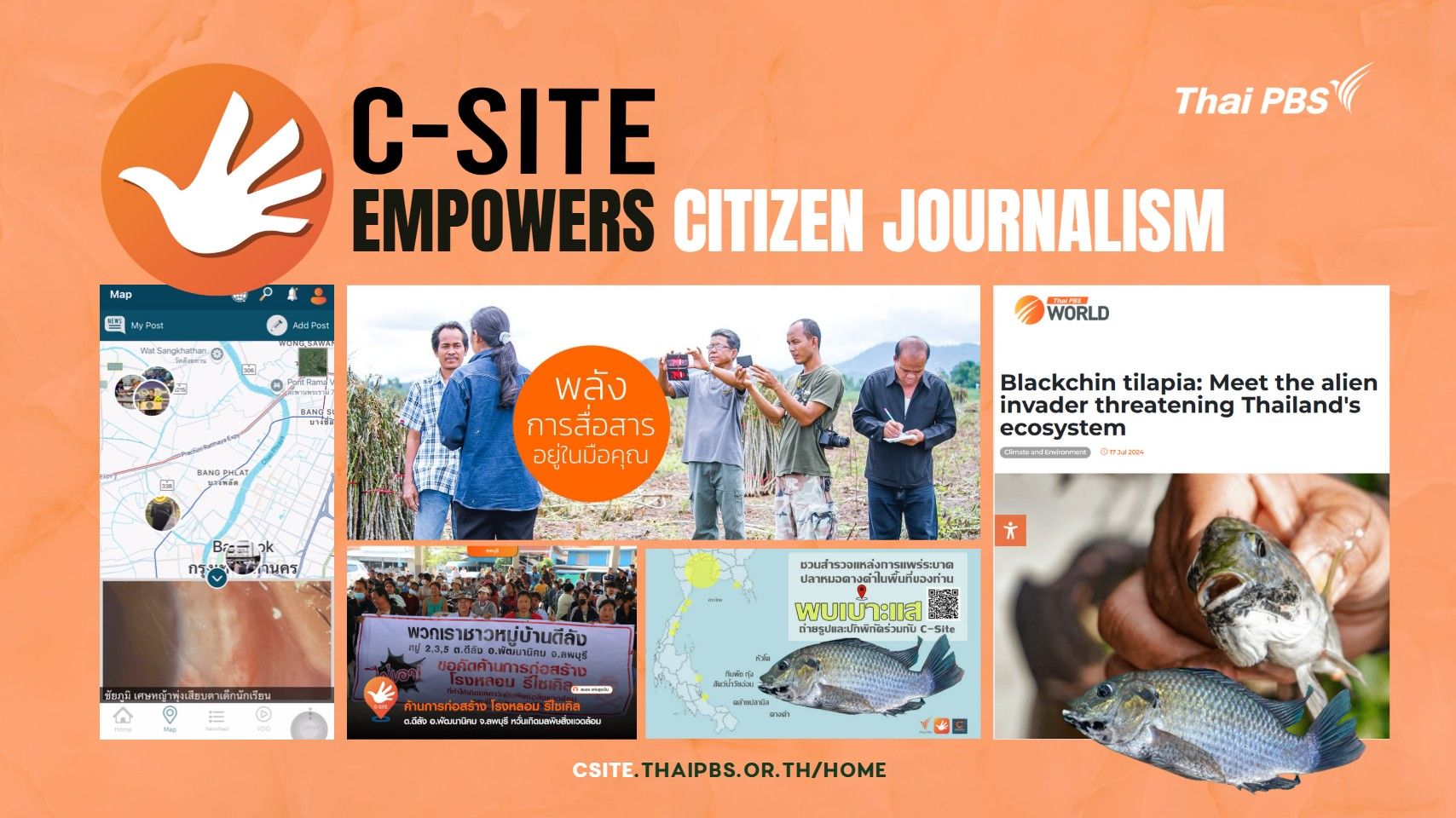 Thai PBS’s C-Site coverage on Thailand’s 2024 blackchin tilapia outbreak