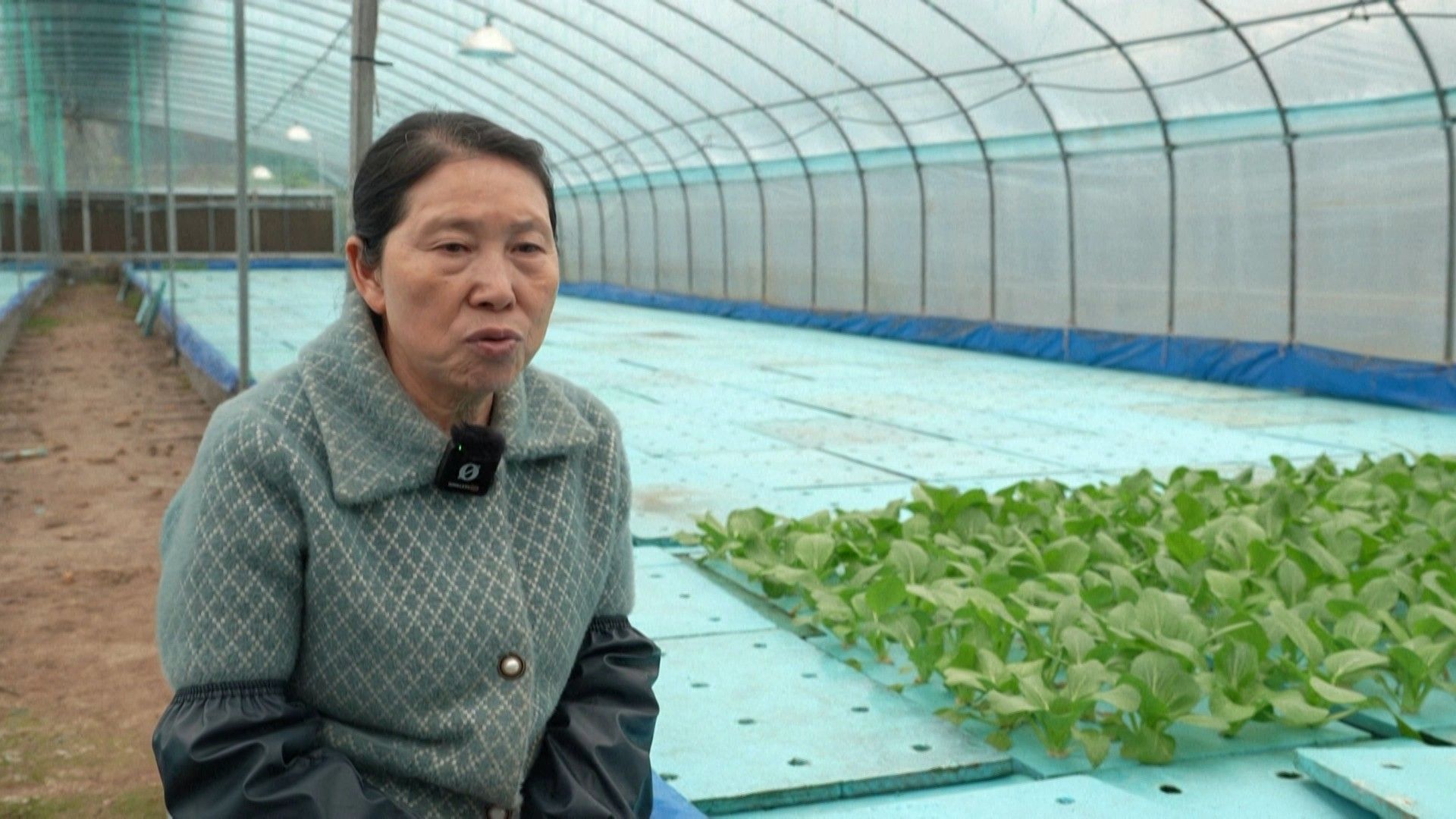 Wu Dimei มารดาของ Li Xia (ภาพ: AFP)