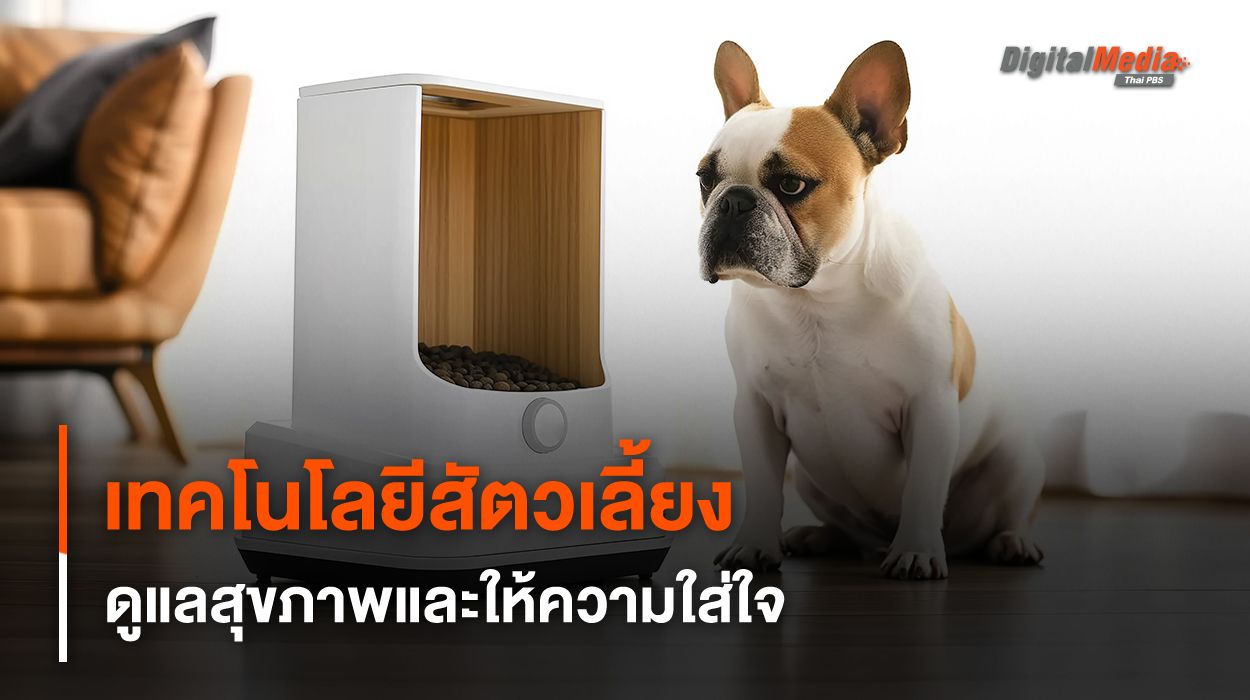 เทคโนโลยีช่วยดูแลสัตวเลี้ยง นวัตกรรมแห่งความใส่ใจ