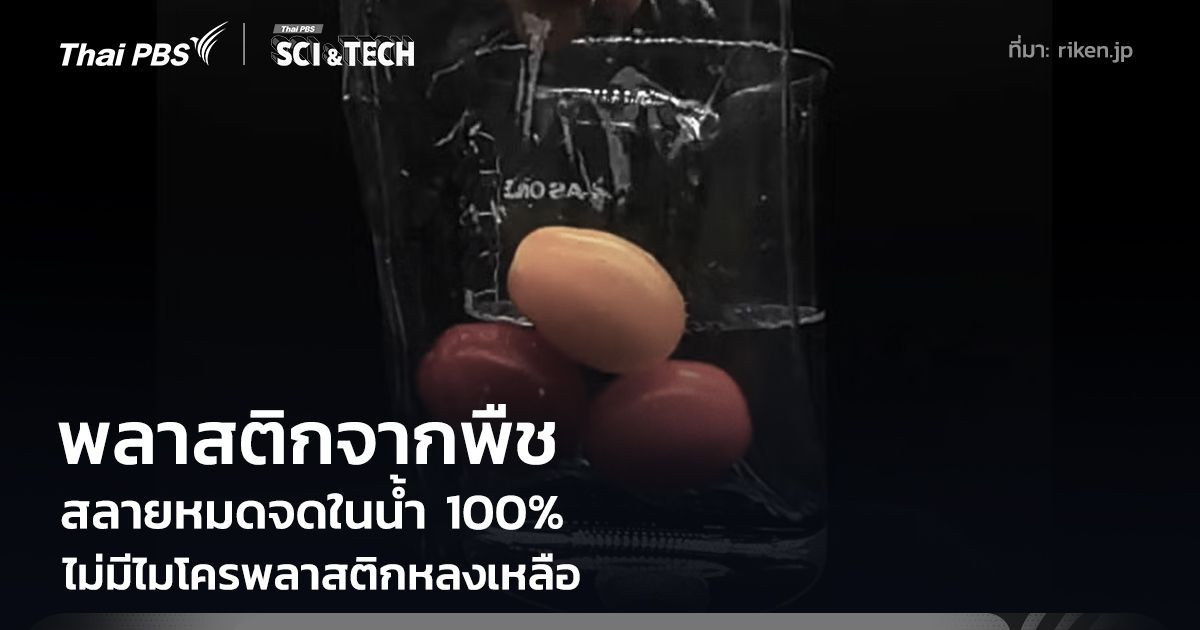 สุดว้าว! พลาสติกจากพืช สลายหมดจดในน้ำ 100% ไม่มีไมโครพลาสติกหลงเหลือ
