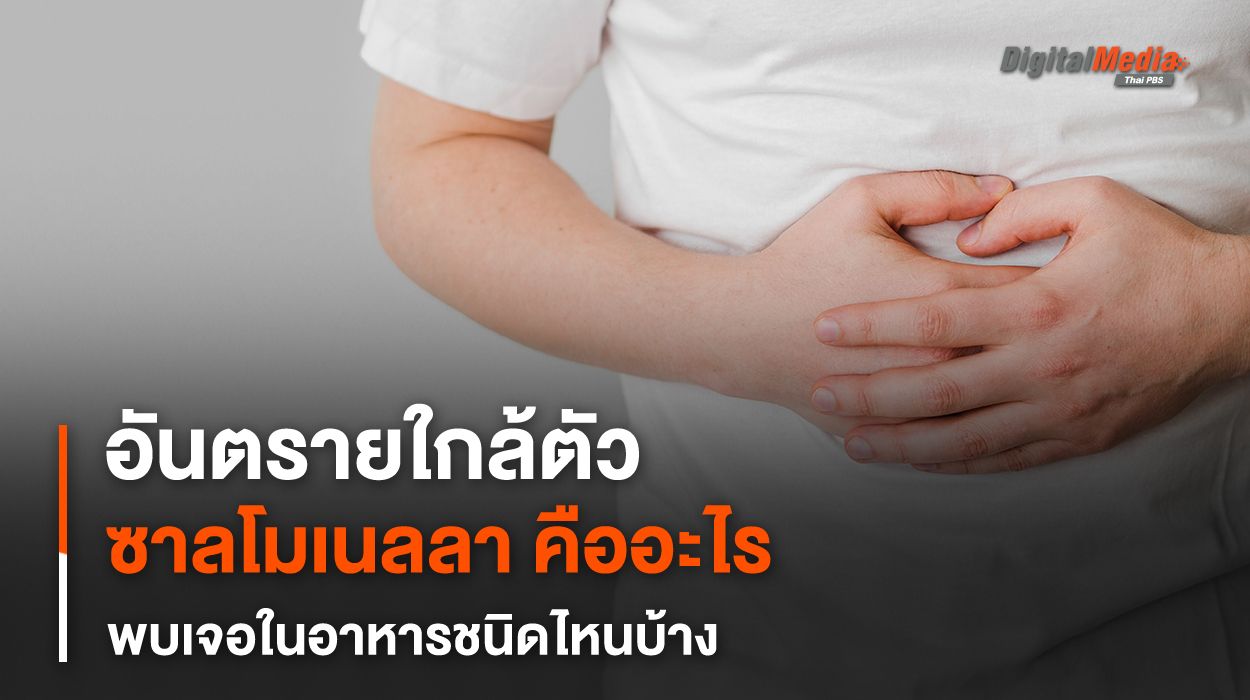 เตือนคนชอบกินไข่ดิบ สัตว์ปีก อาหารไม่สุก ระวังติดเชื้อซาลโมเนลลา