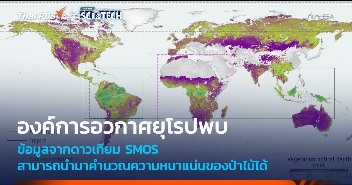 ข้อมูลดาวเทียม SMOS ของ ESA นำมาใช้ติดตามการดูดซับคาร์บอนของป่าไม้ได้