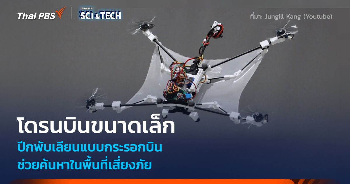 โดรนบินขนาดเล็ก ปีกพับเลียนแบบกระรอกบิน ช่วยค้นหาในพื้นที่เสี่ยงภัย