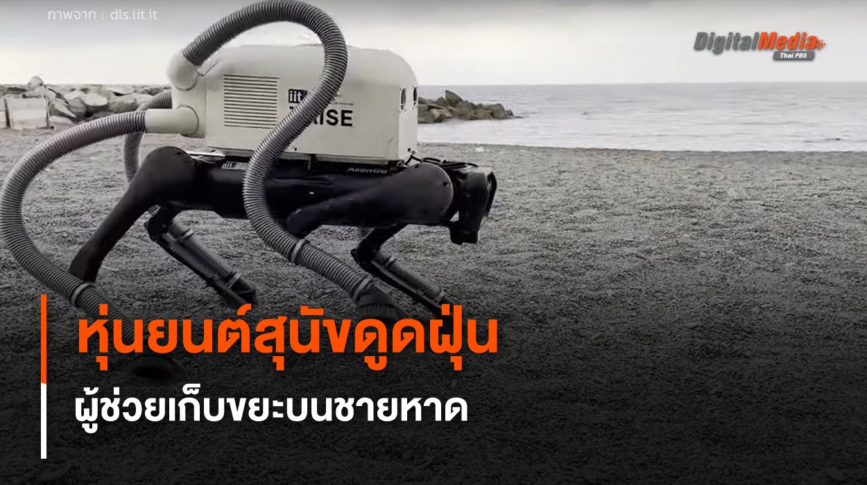 หุ่นยนต์สุนัขดูดฝุ่น ผู้ช่วยทำความสะอาดเก็บขยะบนชายหาด