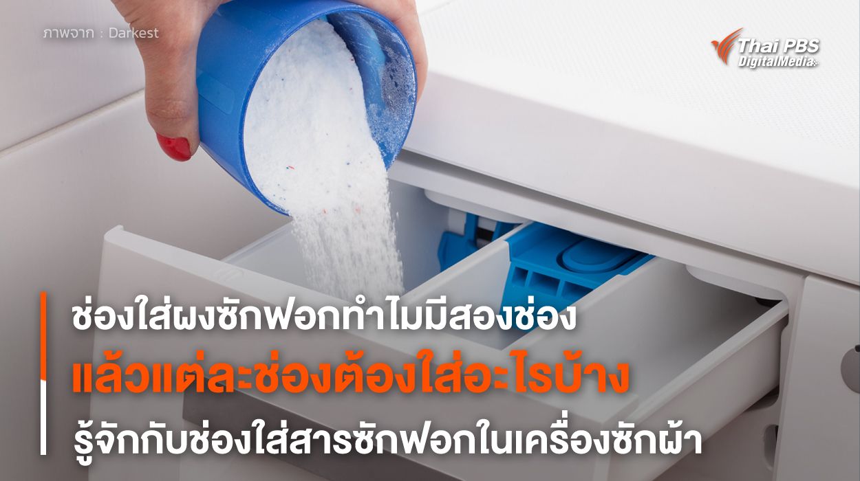ช่องใส่ “ผงซักฟอก” ใน “เครื่องซักผ้า” ทำไมมีสองช่อง ?
