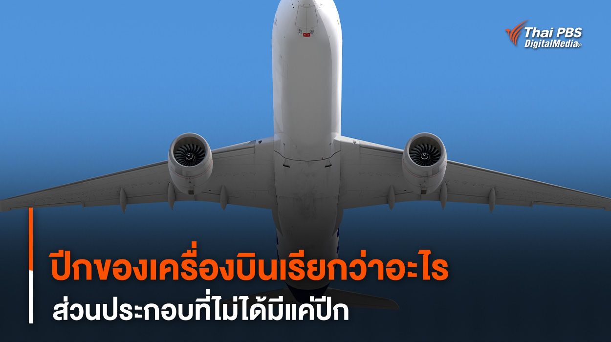 “ปีก” ของเครื่องบินจริง ๆ แล้วเรียกว่าอะไร ?
